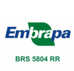 5804 EMBRAPA